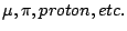 \(\mu,\pi,proton,etc.\)